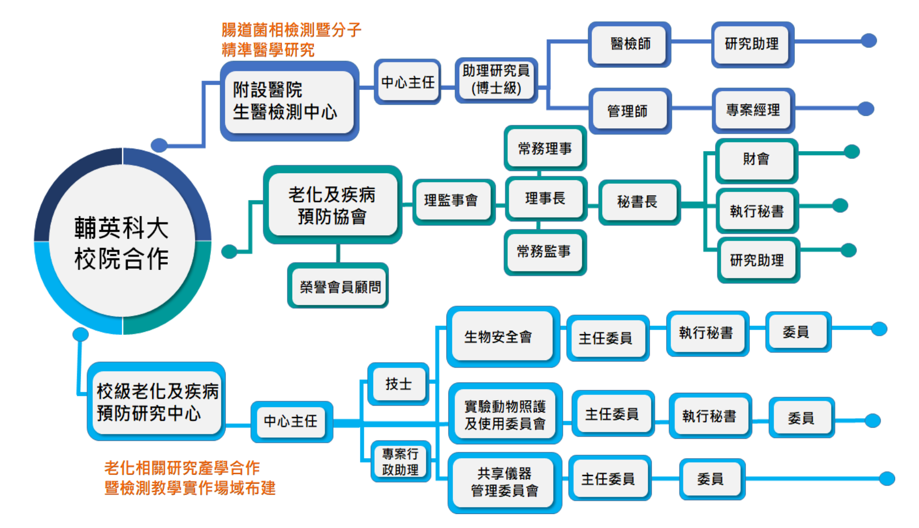 組織架構圖1