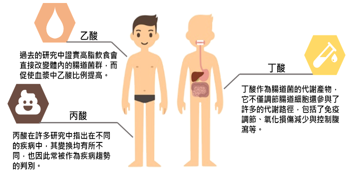 短鏈脂肪酸(SCFA)分析服務
