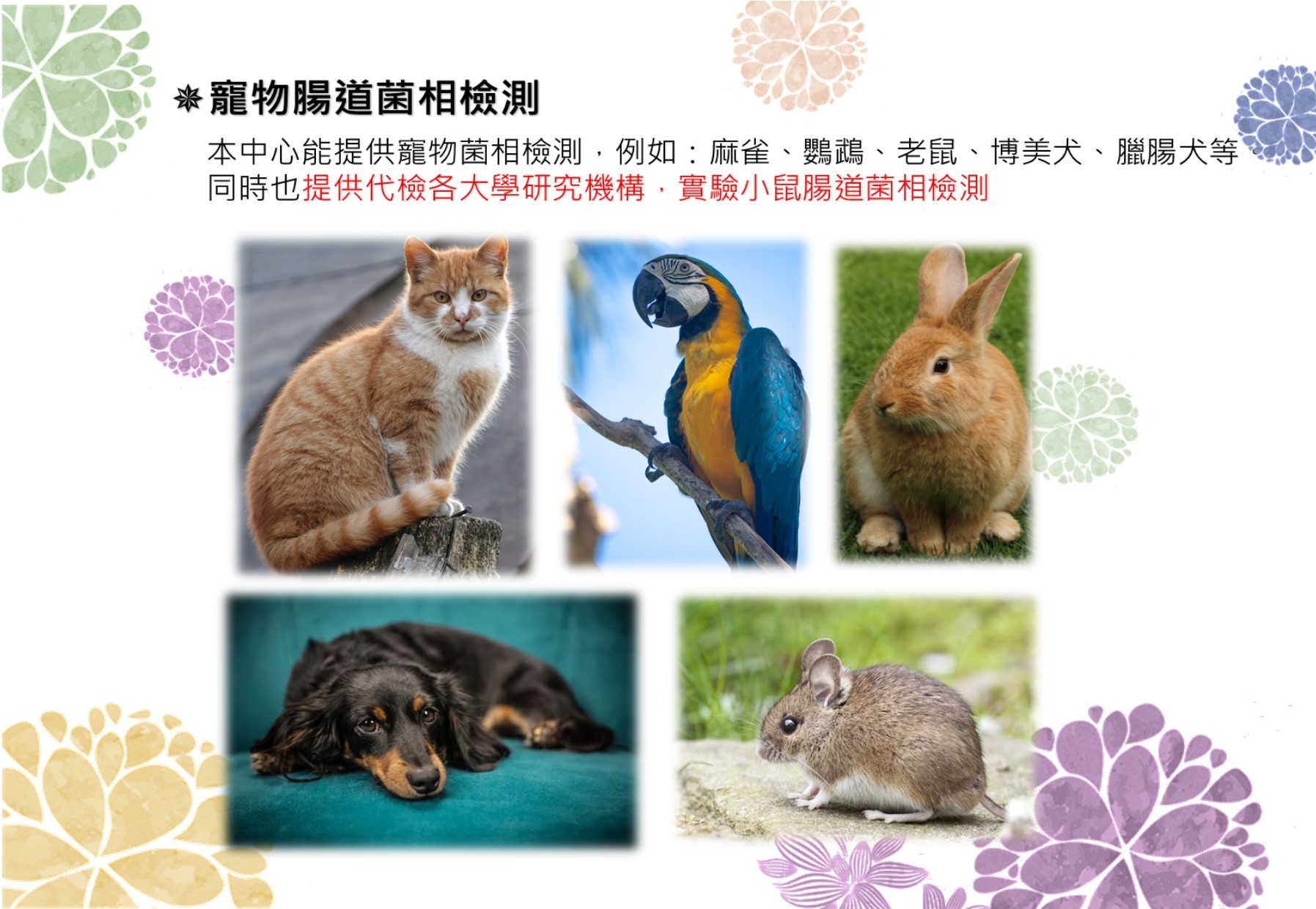 動物檢測平台1